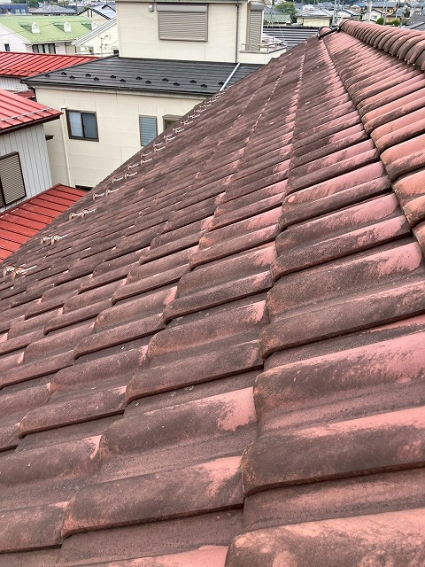 屋根点検もご相談ください